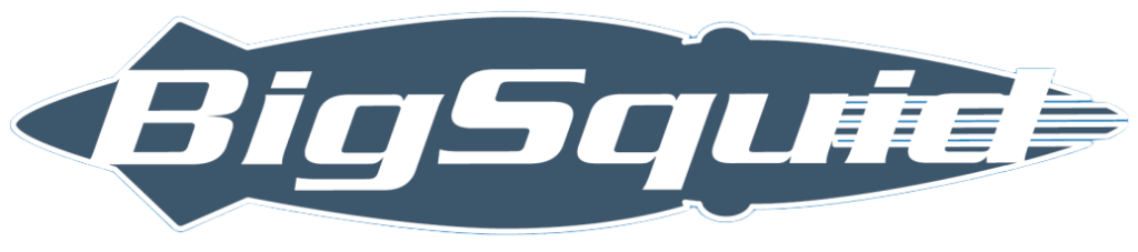 Big Squid website