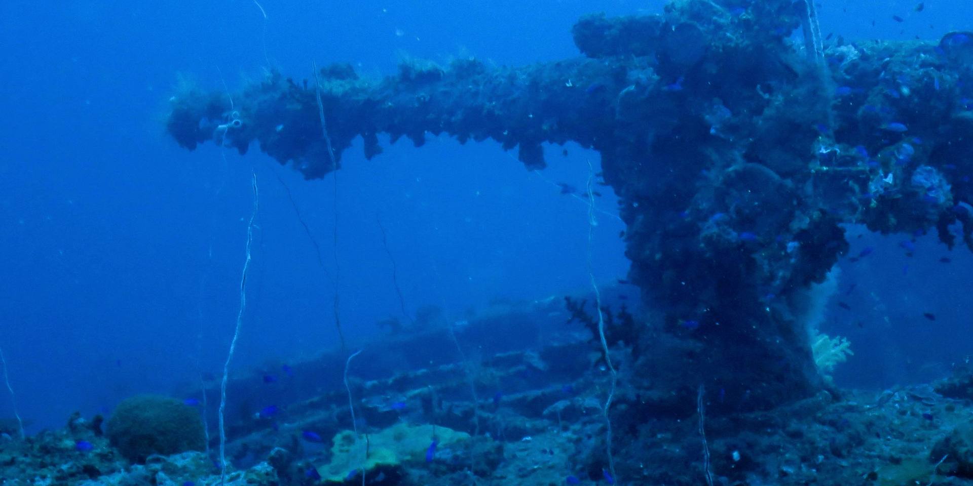 A coral-covered deck gun on a Chuuk Lagoon wreck